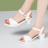 Mid Heel 3-5cm Chunky Heel Open Toe Rubber Sandals Ankle-strap Buckle PU