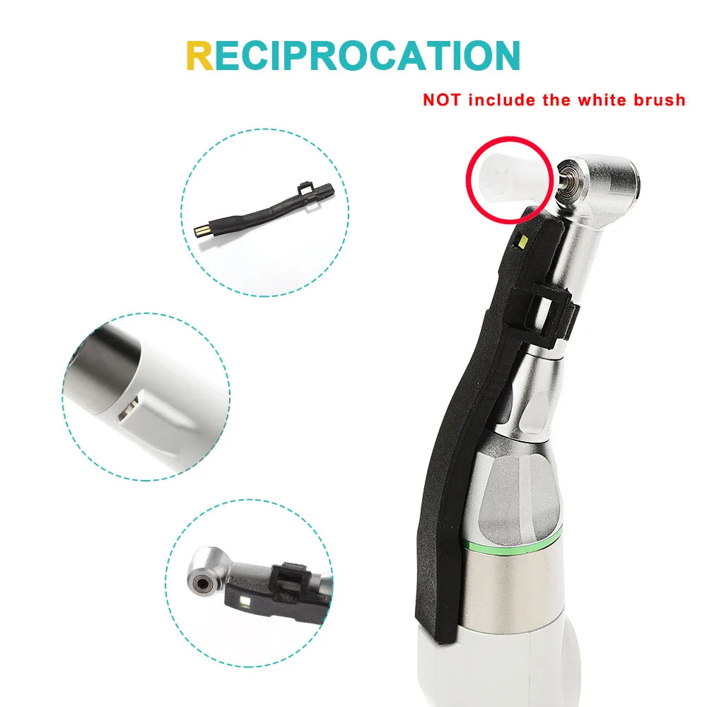 AI-PA-F4/P4 Dental Electric Oral Care Prophy Handpiece 4:1 Reduction Endomotor with Removable for Teeth Polisher Whitening